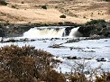 Ashley Falls
